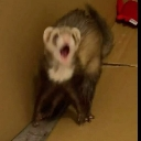 emoji_1 Discord Emoji - Last Brain Cells