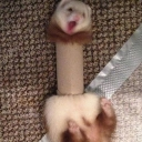 emoji_2 custom emote | Last Brain Cells