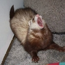 emoji_5 custom emote | Last Brain Cells