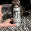 emoji_7 Discord Emoji - Last Brain Cells