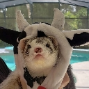 emoji_9 Discord sticker from Last Brain Cells