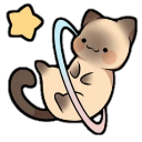 astral_cat Discord sticker from The Astral Hearth