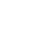 whitesparkles