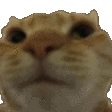 NoNoNo animated Discord emote - Morality