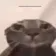da_sweats Discord emoji