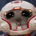 hamster_pilot hamster_pilot