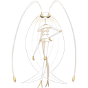 Pheromosa Discord emoji