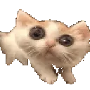 Bamtiscared