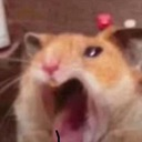 emoji_64 custom emote | MLN community 150🌃?