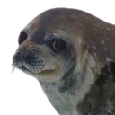 annoyedseal Discord sticker from Sammy's Indie-Electro Lounge