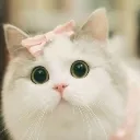 kiska
