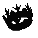 5468blackcrown