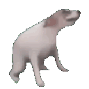 Doggo_dance1