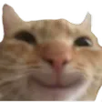 Smile Smile