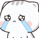crycute_asuna