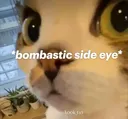 sideeye