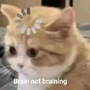 braining