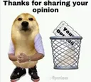Youropinion