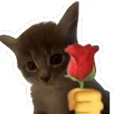 flowerforu
