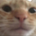 Meow custom emote from Aura