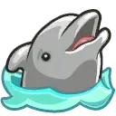 Dolphin
