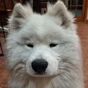MishkaStare