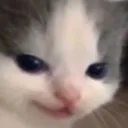 kiki