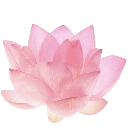 :0Romance_flower0: