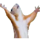 dramaticsquirrel