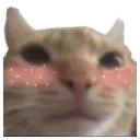 emoji_5
