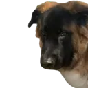 emoji_34