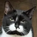 Unamused