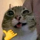emoji_29