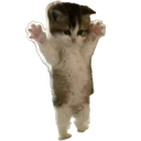 echat_CatStand Discord emoji