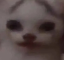 echat_Melon Discord emoji