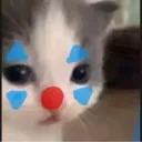 clown_cat