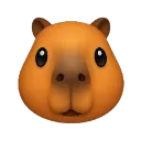 capybara