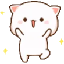 catspin