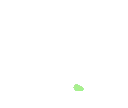 greenheart