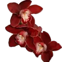 emoji_10