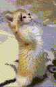 emoji_106 animated Discord emote - Azeez Community