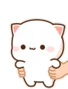 meowmeow