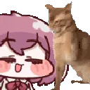 zeeGatoSlap