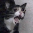 AHHHHHHHHHH Discord Emoji - 고기먹고싶다