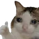 Xieron_stolen_emoji_1777793449