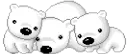 three_polar_bears