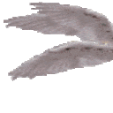338918benotafraid1 animated emote from VN Empire