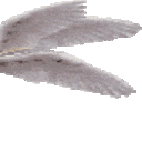 373369benotafraid3 animated GIF emoji from VN Empire
