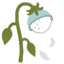wilted_rice