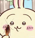 usagi